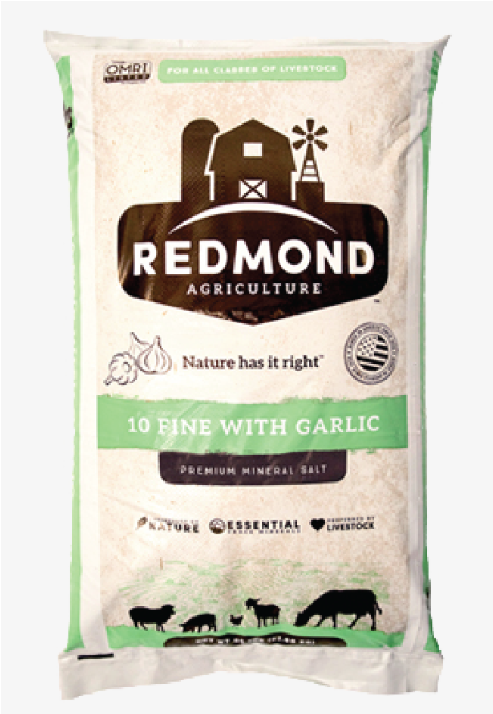 Redmond Garlic Salt
