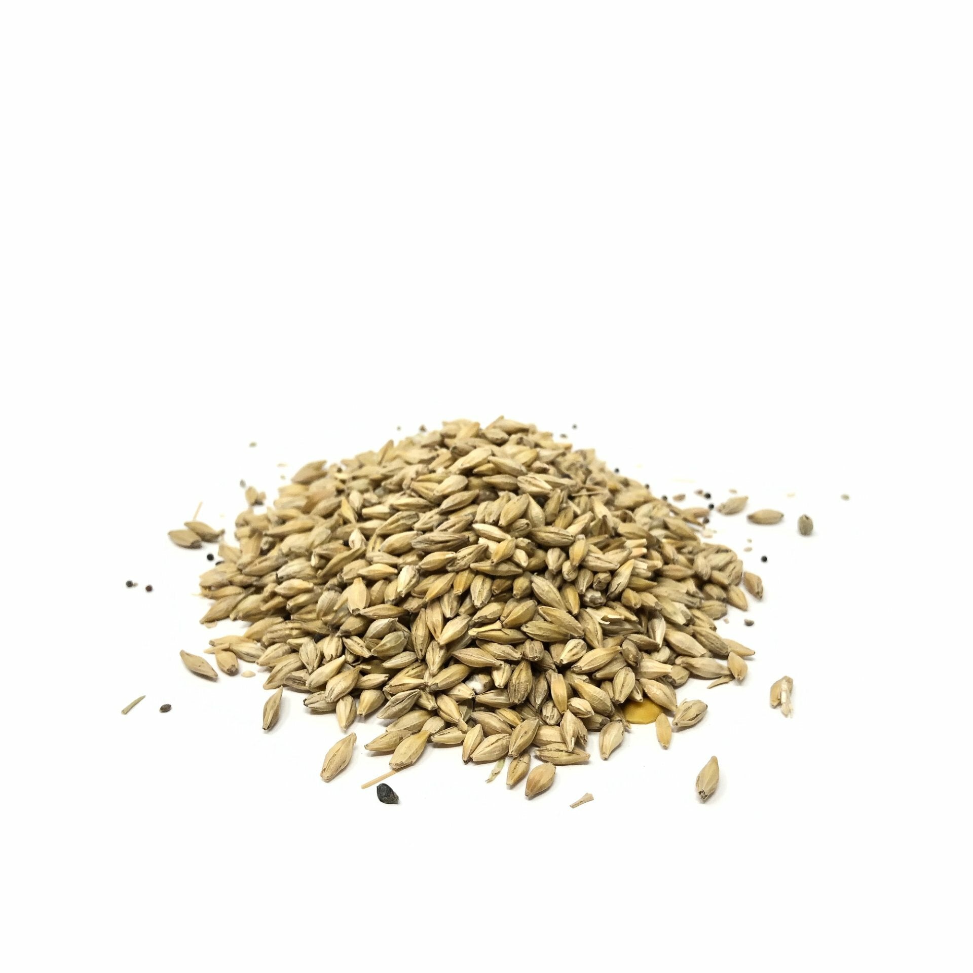 Organic Barley