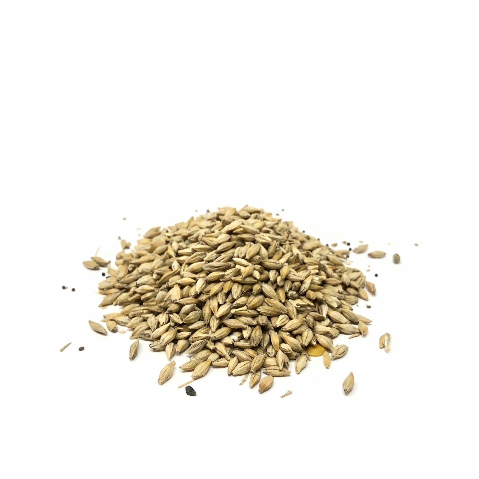 Organic Barley Feed