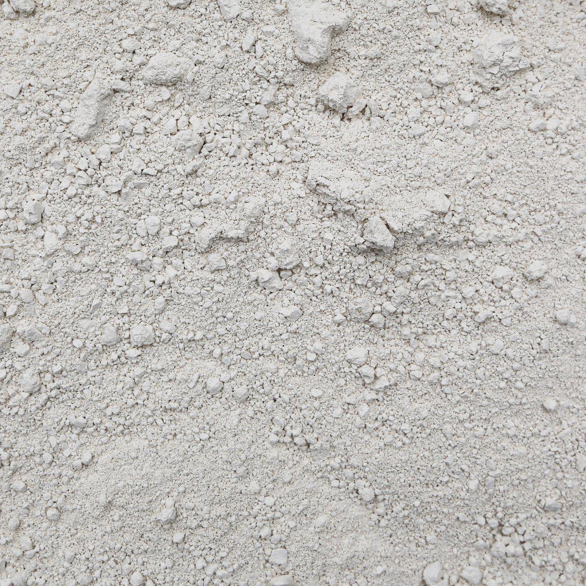 Diatomaceous Earth